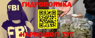 стафф Пенза