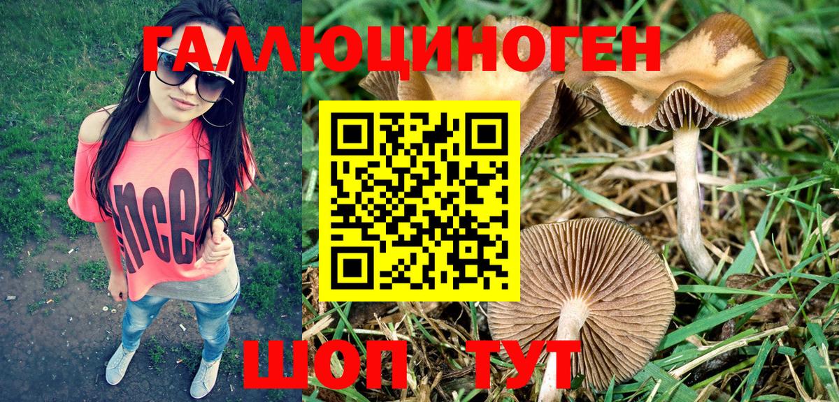 Галлюциногенные грибы прущие грибы  Псилоцибиновые грибы Magic Shrooms  Урай  Вход с VPN 